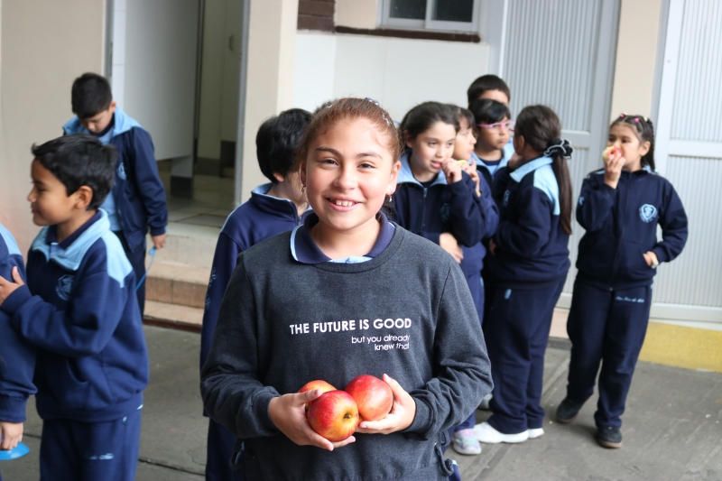 Día de la Actividad Física